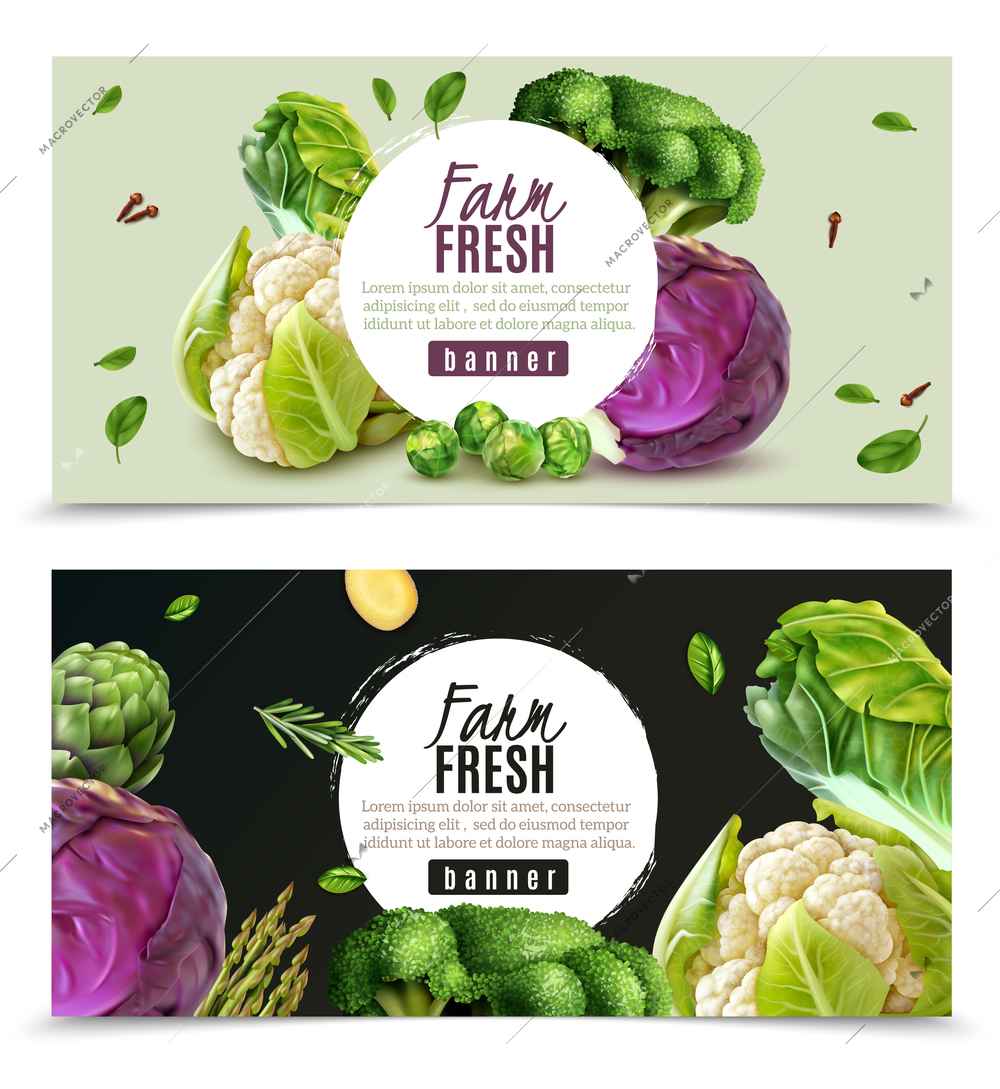 Horizontal banners set with realistic fresh farm vegetables such as cabbage cauliflower broccoli brussels sprouts isolated vector illustration