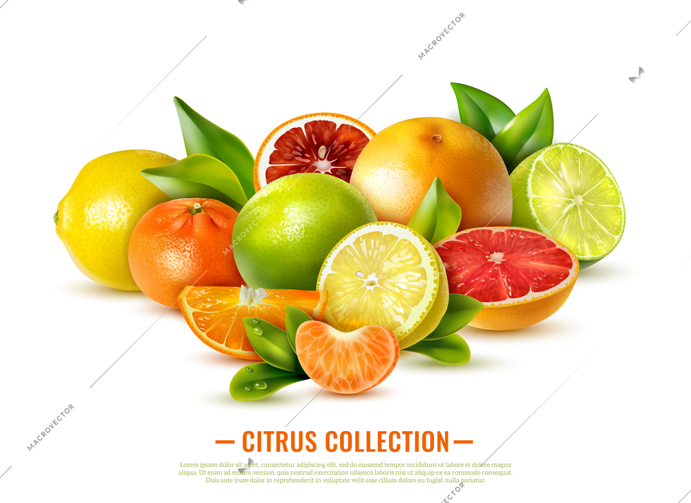 Fresh citrus fruit collection on white background realistic vector illustration