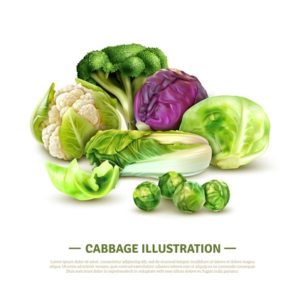 Realistic composition with white cabbage and scotch kale heads chinese leaves brussels sprouts broccoli and cauliflower vector illustration