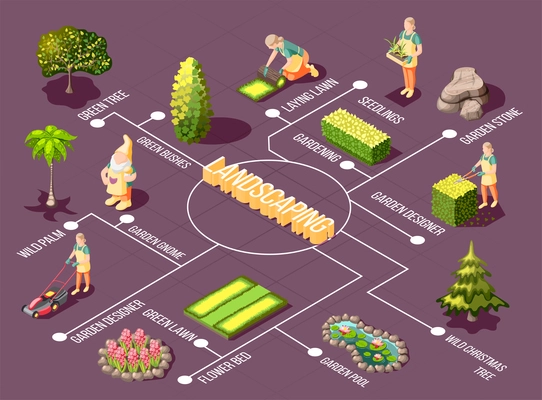 Landscaping isometric flowchart with garden designer green plants and decorations on purple background vector illustration