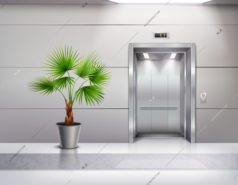 Modern hall interior design with decorative potted fan palm next to opened elevator doors realistic vector illustration