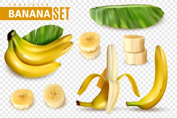 Realistic banana transparent set with isolated images of palm leaf bunch of banana fruits and slices vector illustration