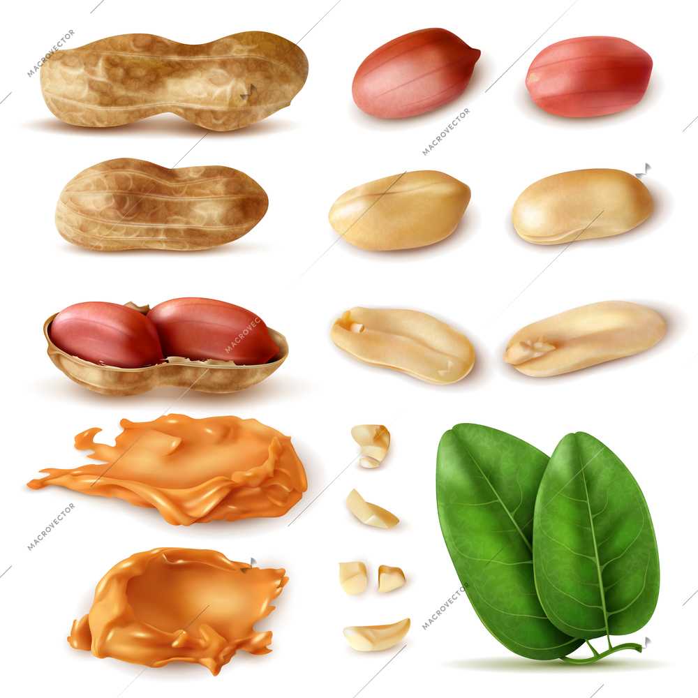 Realistic peanut set of isolated images of beans in shell with green leaves and peanut butter vector illustration