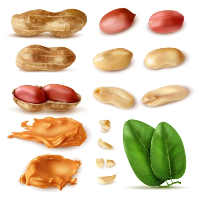 Realistic peanut set of isolated images of beans in shell with green leaves and peanut butter vector illustration