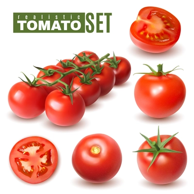 Realistic tomato set of isolated images with single tomato fruits and groups with shadows and text vector illustration