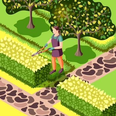 Gardener with tool during trimming of bushes beautiful landscaping with trees and stone sidewalks isometric vector illustration