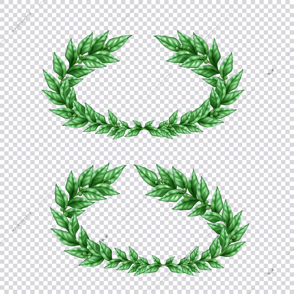 Set of two isolated green laurel wreaths in realistic style on transparent background vector Illustration