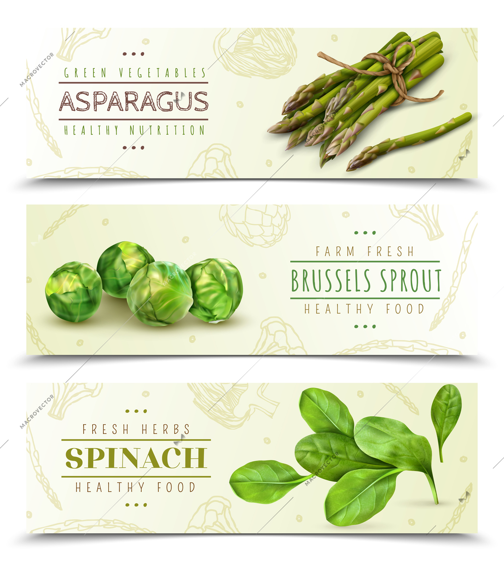 Farm fresh green leafy vegetables 3 realistic horizontal banners set with spinach asparagus brussels sprouts vector illustration