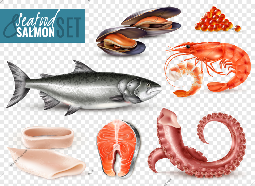 Seafood realistic set with whole fresh salmon shrimps squid slices octopus tentacles mussels transparent background vector illustration