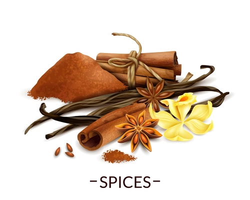 Spices realistic composition with vanilla flower and dried beans star anise cinnamon powder and sticks vector illustration