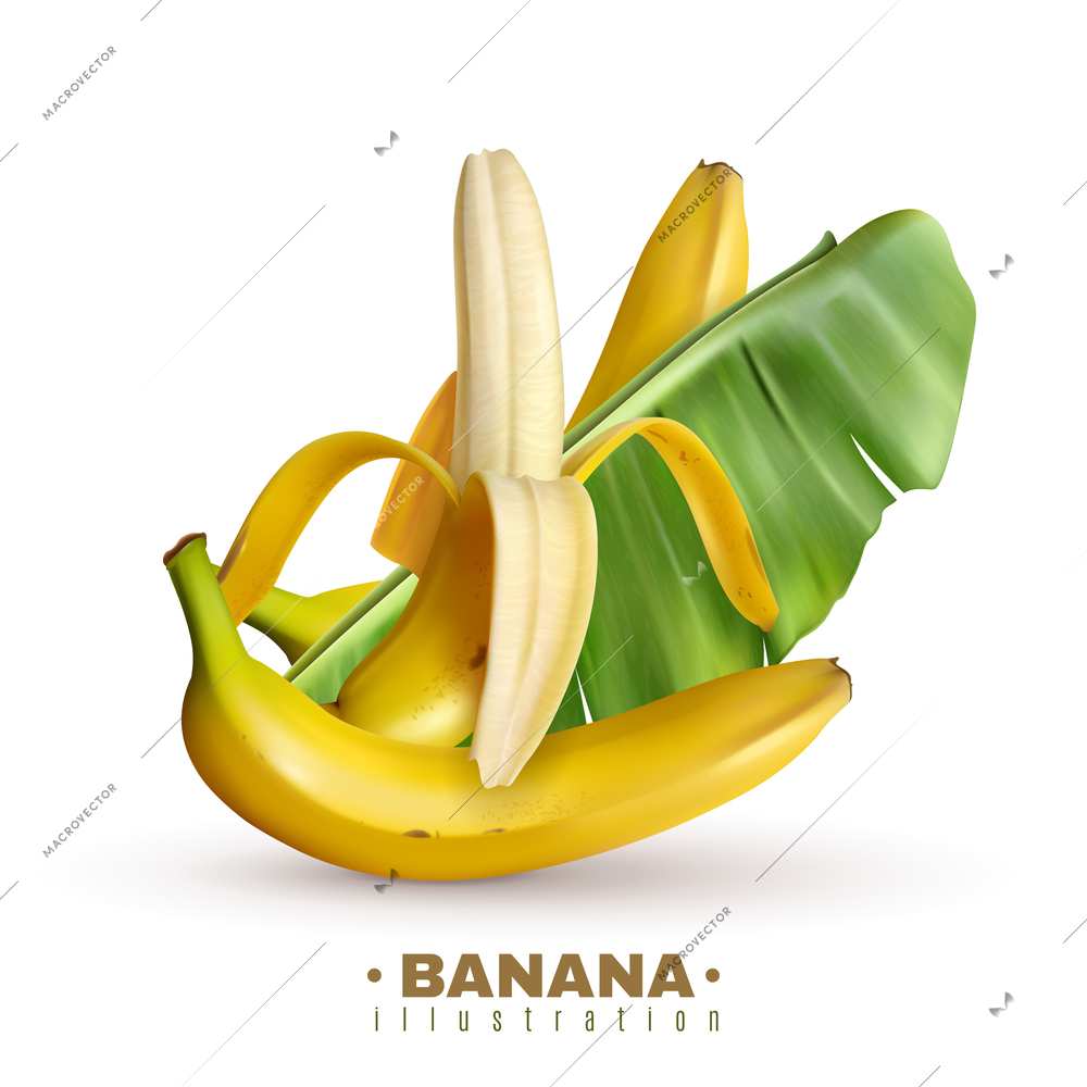 Realistic banana background with editable text and realistic images of banana fruits with skin and leaves vector illustration