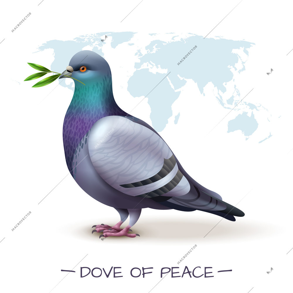 Bird background with image of pigeon holding branch with green leaves in front of world map vector illustration