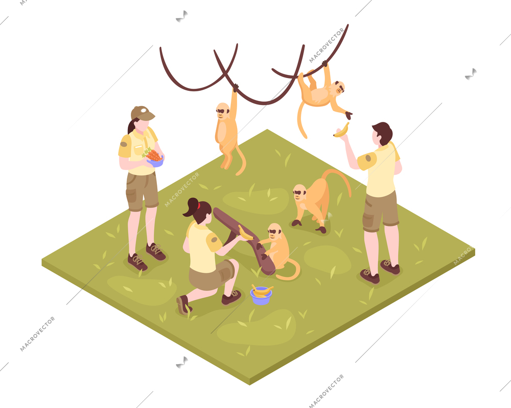 Isometric zoo workers composition on white background with tropical monkeys and group of zoo keeper characters vector illustration
