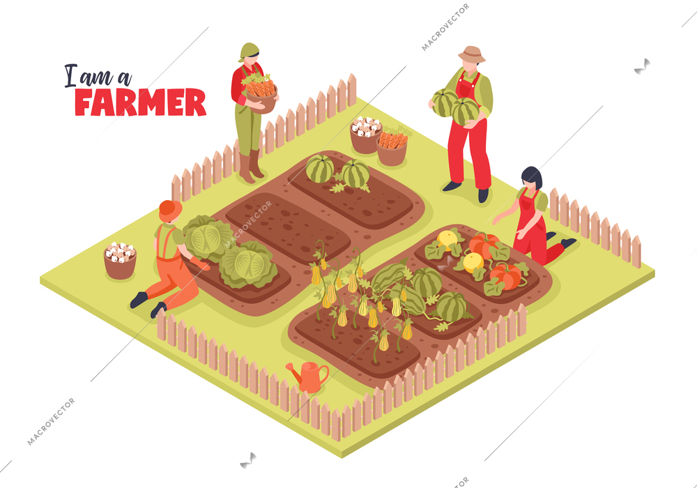Isometric farm garden background composition with group of human characters in farmstead with plants and text vector illustration