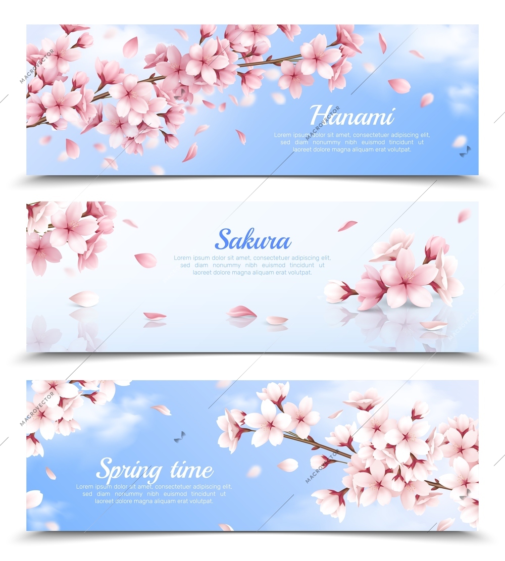 Realistic set of three horizontal banners with blossoming sakura flowers on blue sky background isolated vector illustration