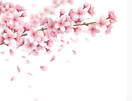 Branch with beautiful sakura flowers and falling petals realistic composition on white background vector illustration