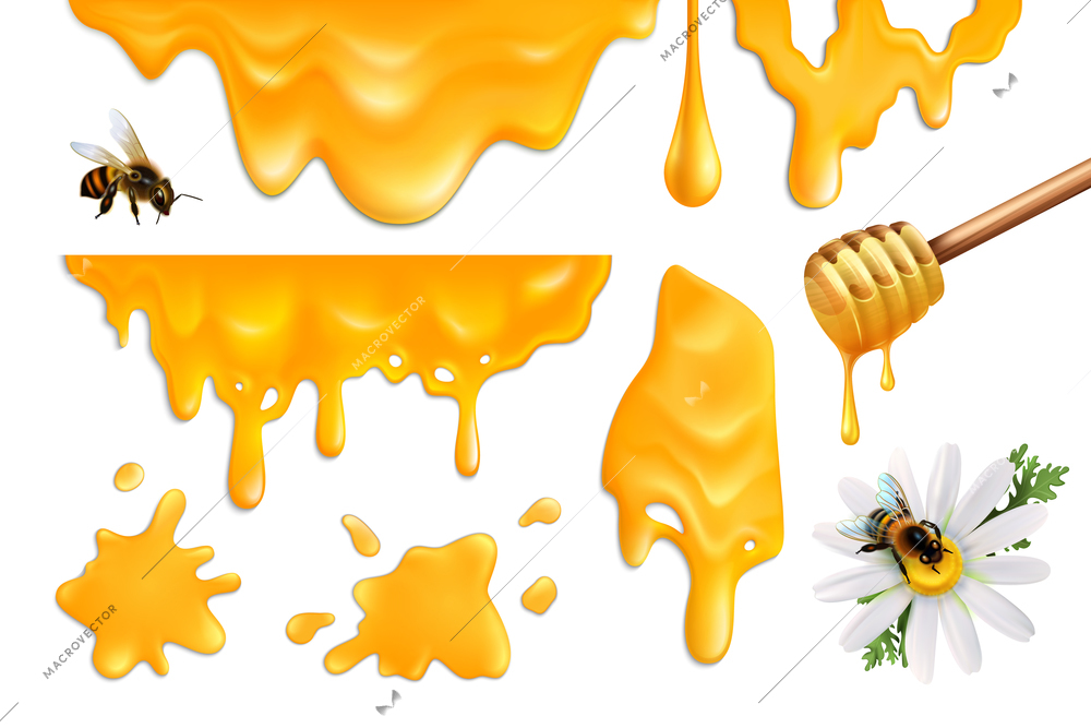 Honey splatters and bees colorful set isolated on white background realistic vector illustration