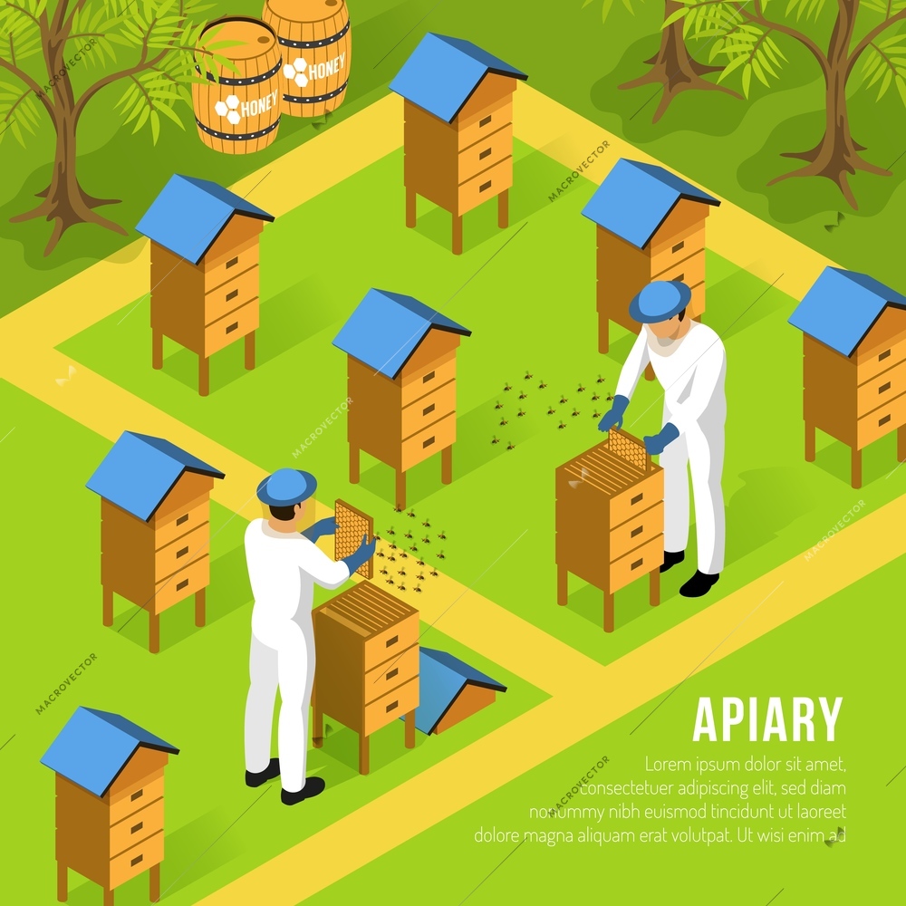 Beekeepers in protective clothing at apiary during work with hives and swarms of bees isometric vector illustration