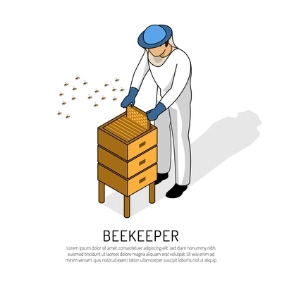 Beekeeper in protective clothing during work with bee hive on white background isometric vector illustration