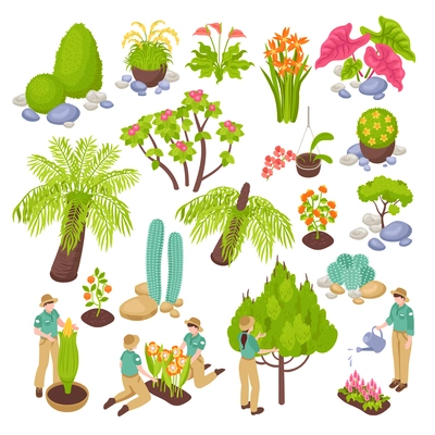 Isometric botanical garden greenhouse set with isolated images of various plants trees and flowers with people vector illustration