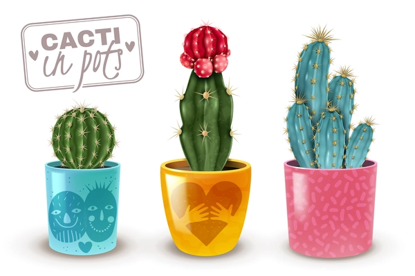 Cacti in colorful decorative pots realistic set of 3 popular easy care houseplants closeup isolated vector illustration