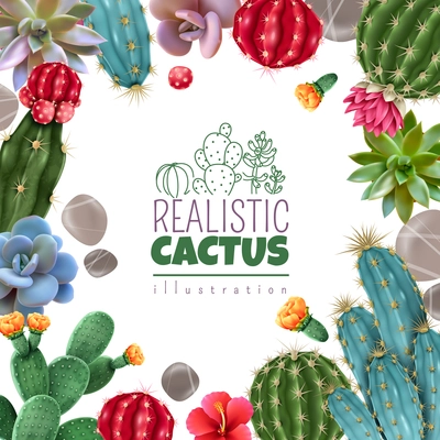 Blooming cacti and popular succulents varieties easy care decorative indoor plants realistic colorful square frame vector illustration