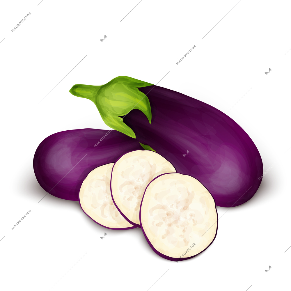 Vegetable organic food realistic eggplant aubergine isolated on white background vector illustration