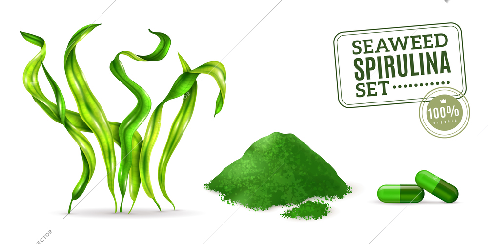 Spirulina supplement seaweed algae as plant dried powder and capsules for daily intake realistic set vector illustration