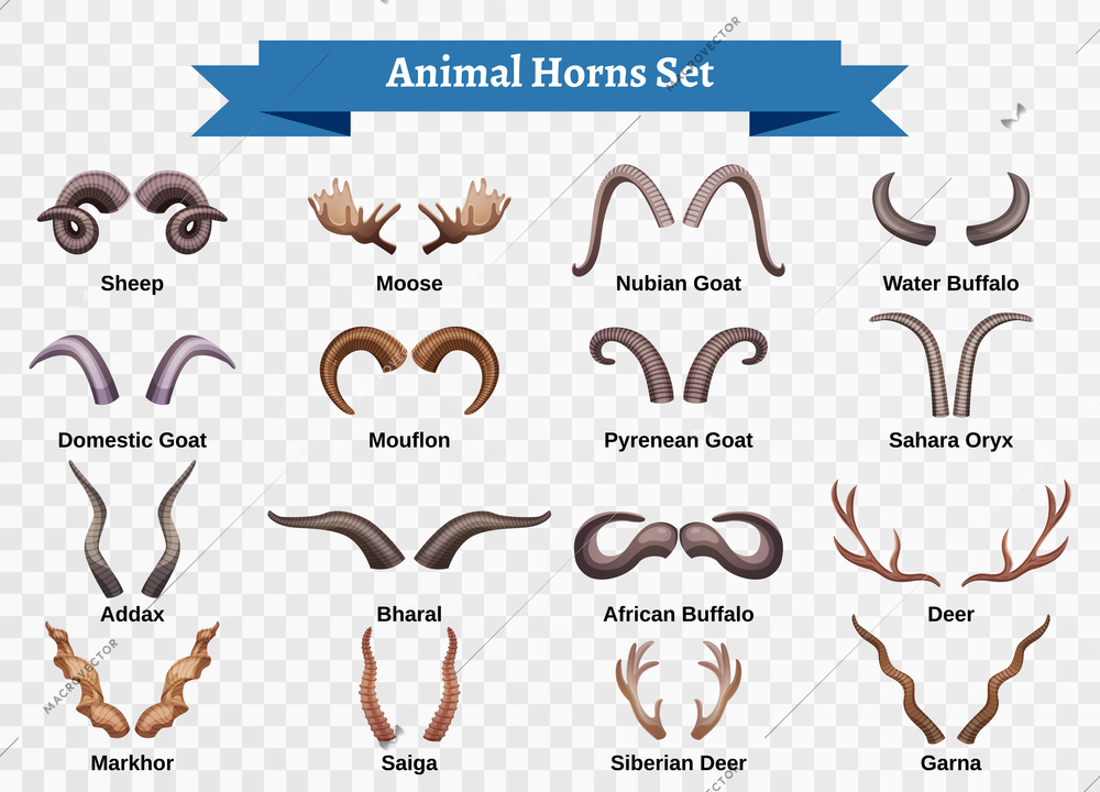 Horns horizontal transparent set with doodle style isolated images of animal horning with editable text captions vector illustration