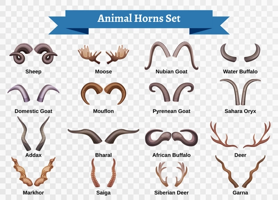 Horns horizontal transparent set with doodle style isolated images of animal horning with editable text captions vector illustration