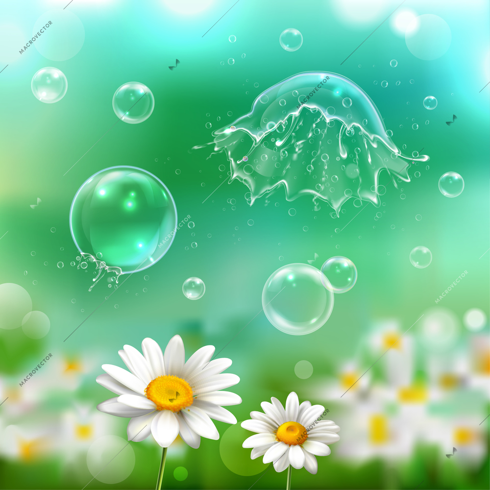 Soap bubbles floating bursting popping exploding above chamomile flowers realistic image with green blurry background vector illustration