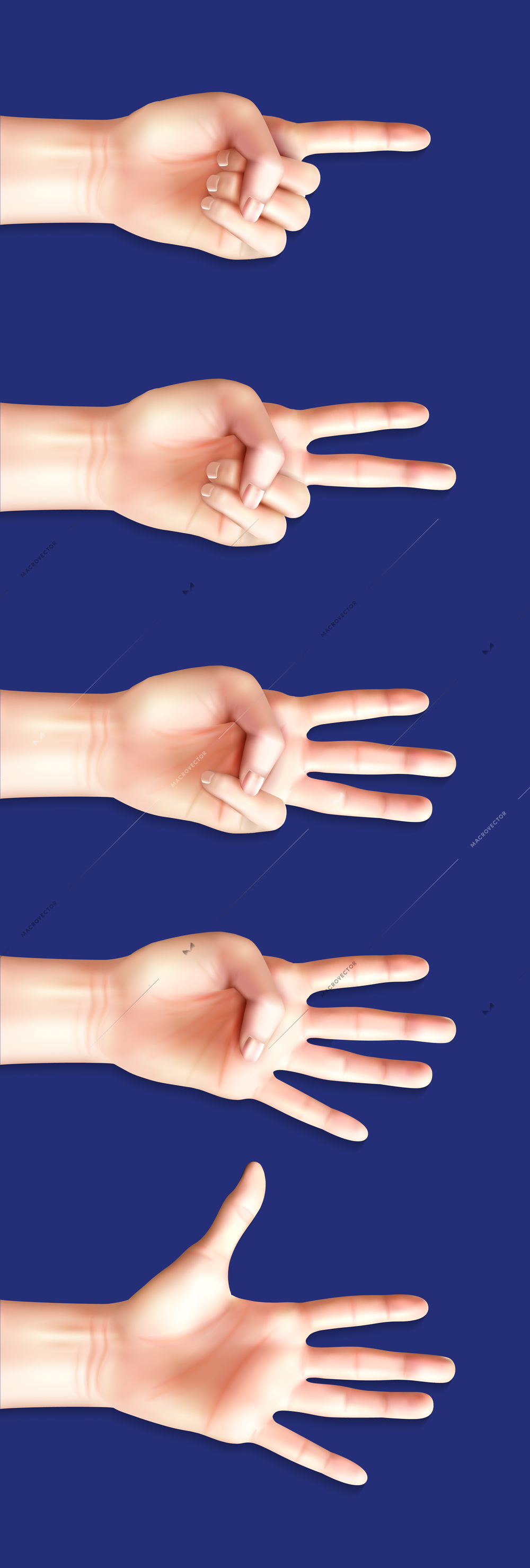 Communication gestures concept set of counting hand signs from one to five on blue background vector illustration