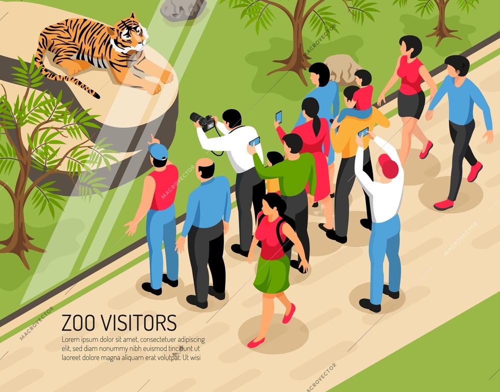 Zoo visitors adults and kids with photo cameras near area with tiger isometric vector illustration