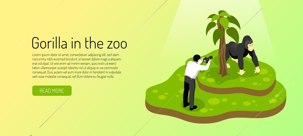 Visitor to zoo during photographing gorilla on yellow green background horizontal banner isometric vector illustration