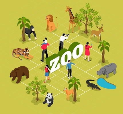 Zoo isometric flowchart with animals near trees and pool and visitors on olive background vector illustration