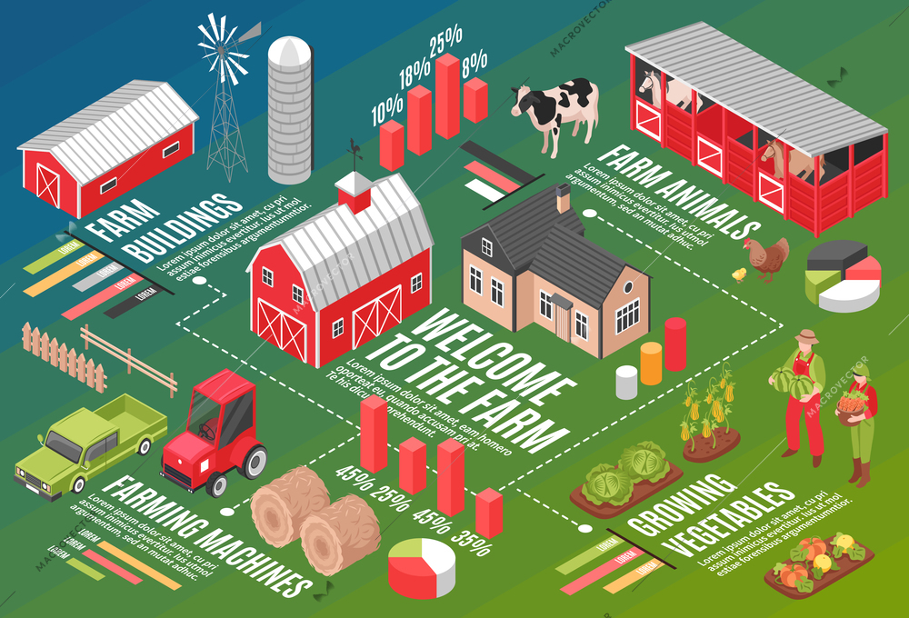 Isometric farm horizontal flowchart composition with infographic symbols graph icons editable text captions and farmstead images vector illustration