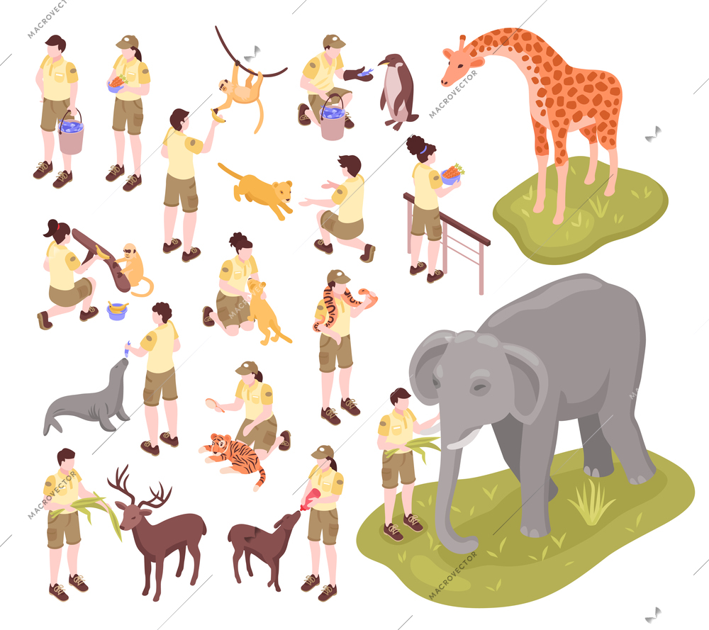 Isometric zoo workers set of isolated human characters of zoo keepers and animals on blank background vector illustration