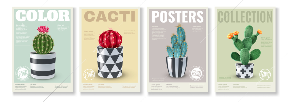 Blooming cacti varieties 4 realistic mini posters set with popular house plants in  decorative pots vector illustration