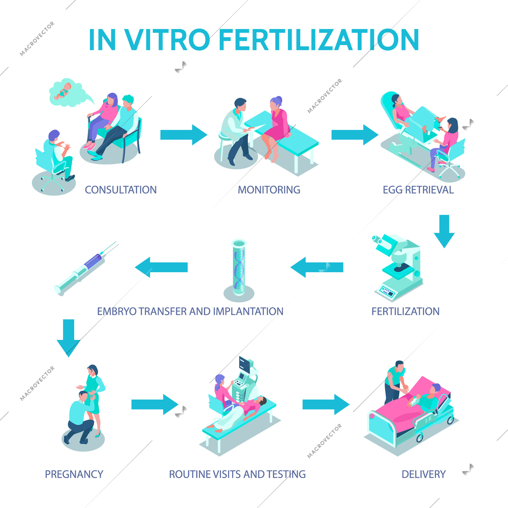 In vitro fertilization poster with consultation and monitoring symbols isometric vector illustration