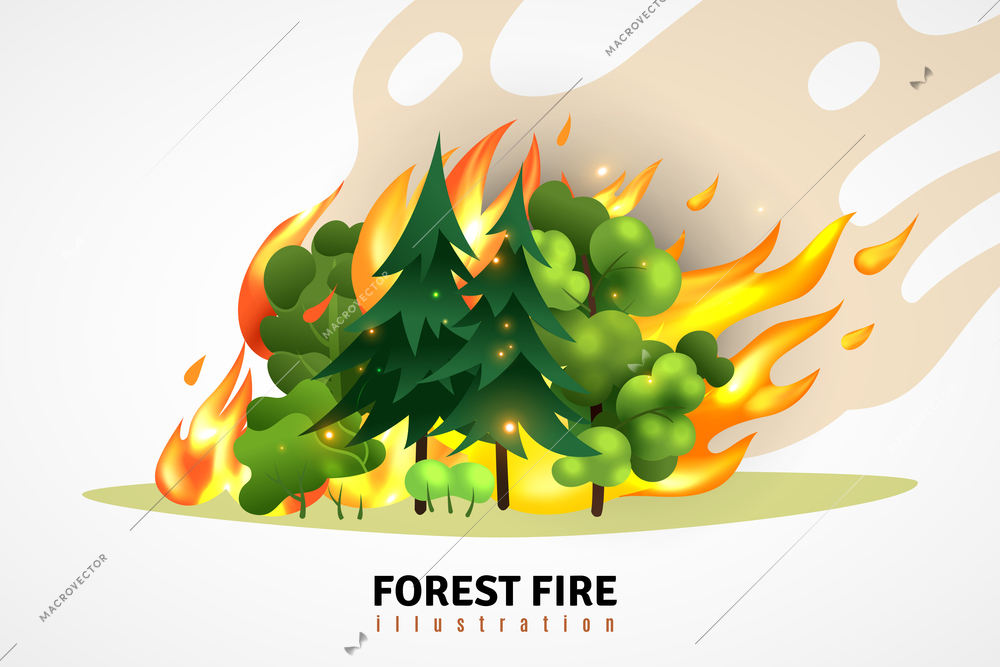 Natural disasters cartoon design concept illustrated green coniferous and deciduous trees in forest on raging fire vector illustration
