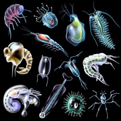 Plankton colored luminescent icons set in cartoon style on black background isolated vector illustration