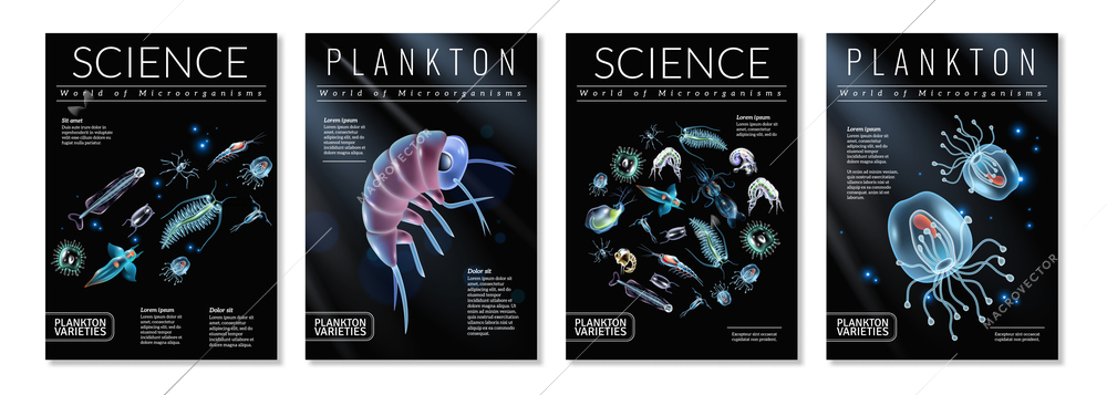 Set of four posters on theme of plankton varieties as template for magazine articles brochures book covers vector illustration