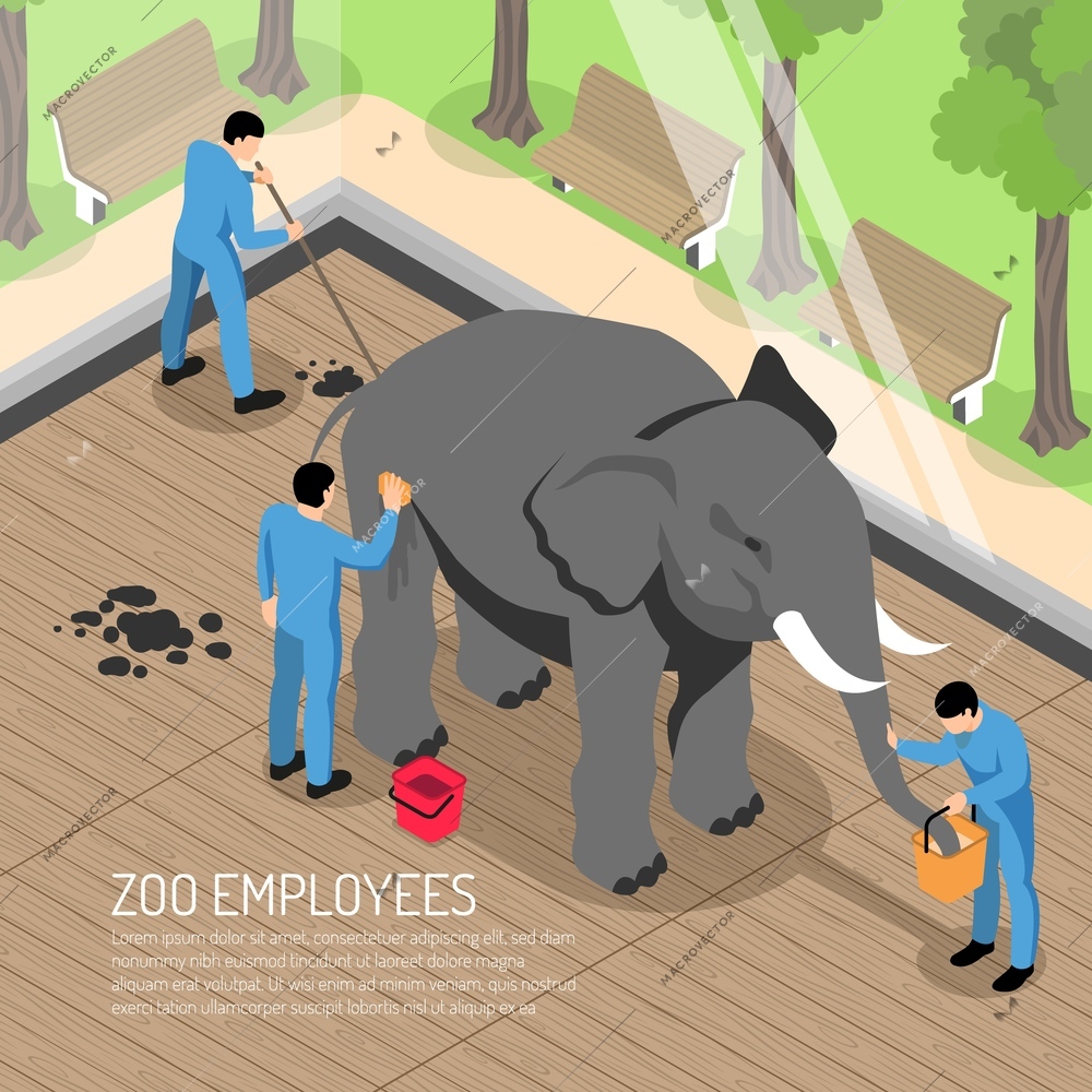 Zoo workers with professional tools during feeding and washing elephant and cleaning his house isometric vector illustration