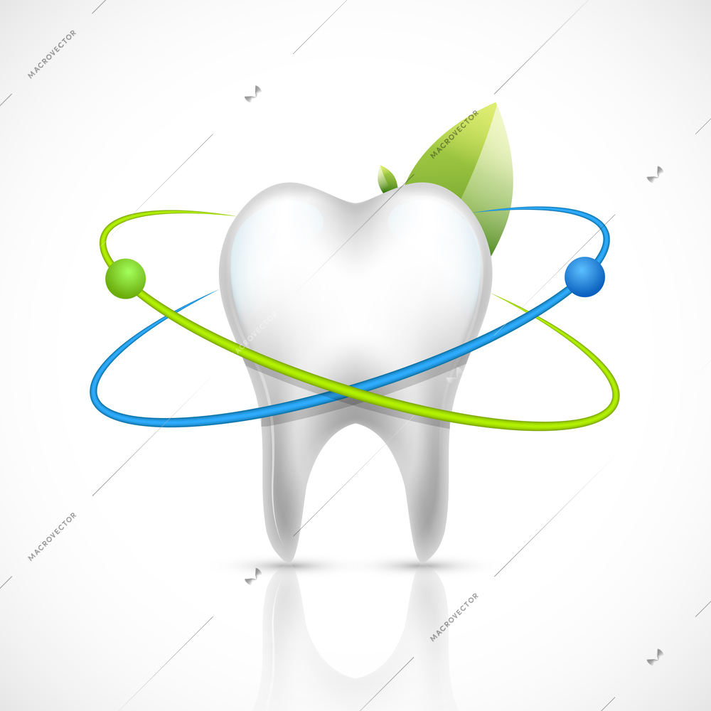 Realistic white healthy tooth isolated on white background vector illustration