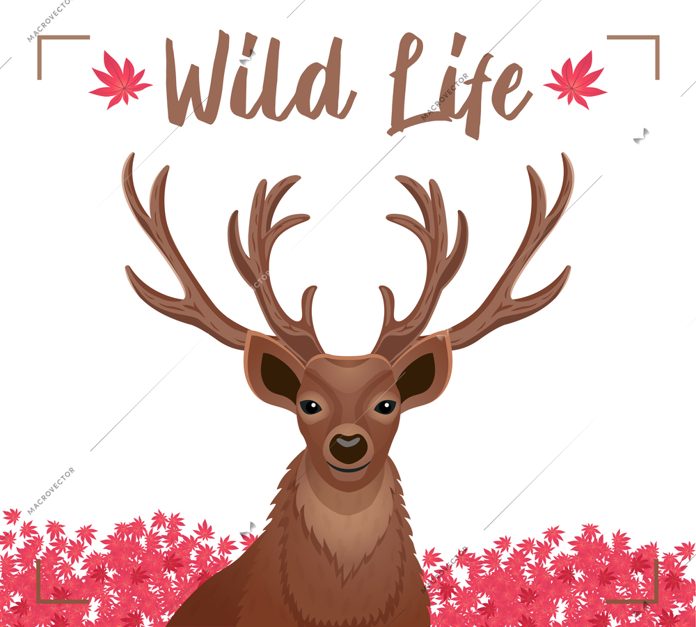 Wild life decorative poster with closeup dear head with horns antlers pink flowers background flat vector illustration