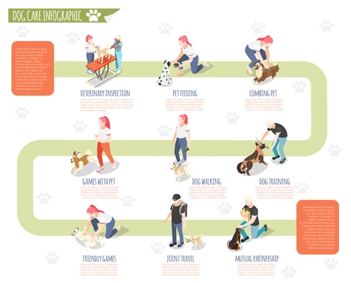 Ordinary life of man and his dog isometric infographic with veterinary inspection pet feeding combing pet dog walking training and other descriptions vector illustration