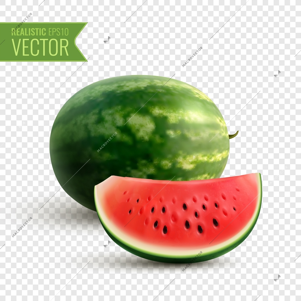 Fruity realistic design concept with whole watermelon and appetizing juicy slice of ripe red berry transparent vector illustration