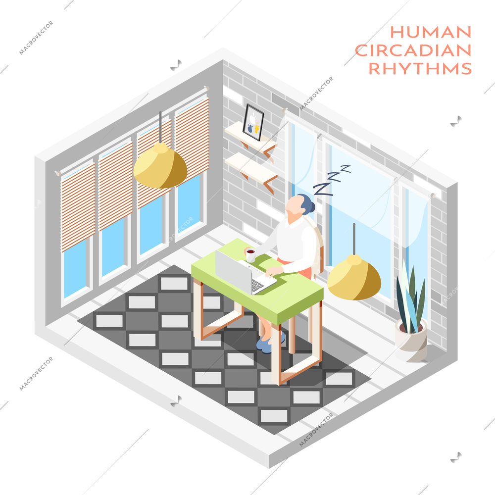 Human circadian rhythms isometric composition with isolated room and woman sleeping at the desk vector illustration