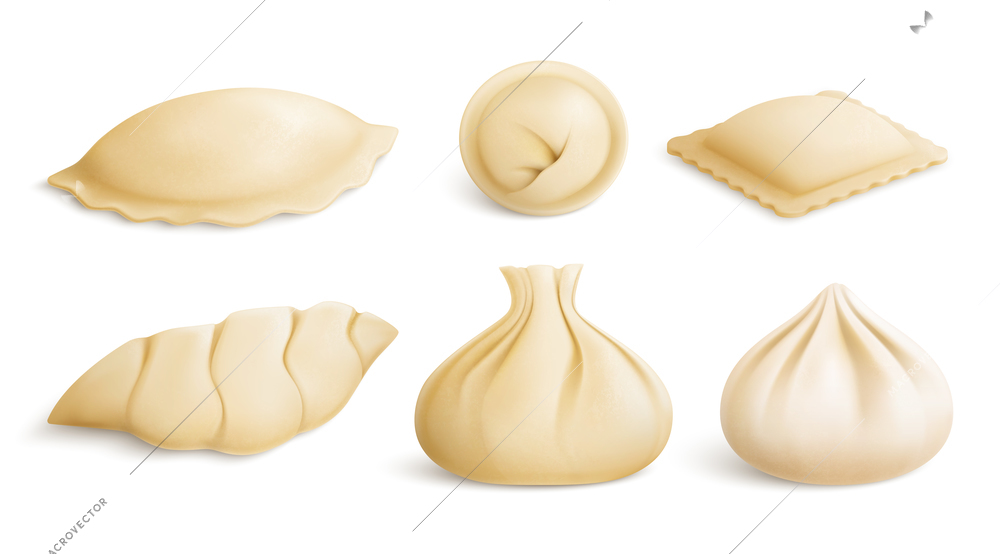 National dishes from meat and dough realistic set with dumplings mantas ravioli gyoza khinkali kurze isolated icons vector illustration