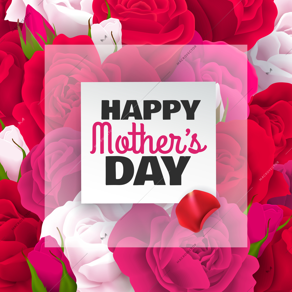 Mothers Day colored card with red white roses and happy mothers day headline vector illustration